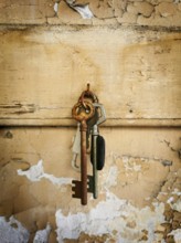 A collection of rusty keys hangs from a metal ring against a weathered wooden backdrop. The peeling