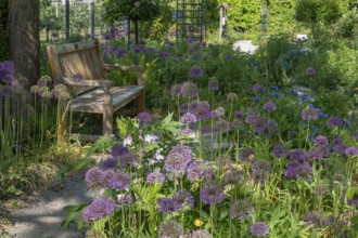 District educational garden, Burgsteinfurt, Münsterland, North Rhine-Westphalia, Germany