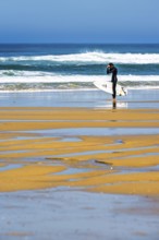 Surfer on Contis beach, Saint Julien en Born, Saint-Julien-en-Born, Landes, France