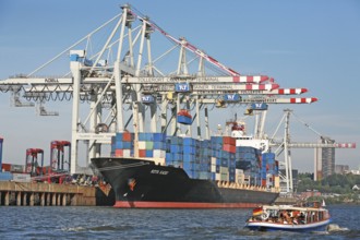 Tollerort, container terminal, container ship, Kota Kado, harbour, Hamburg, Germany