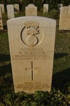 An inscribed gravestone with an emblem and carefully engraved text, surrounded by lawn, Military