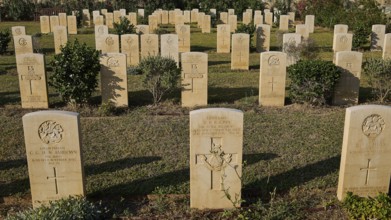 Rows of carefully tended gravestones in a cemetery in sunlight with green vegetation, Military