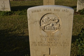 A carefully inscribed gravestone, rich in information and surrounded by grass, S.F. Hines, The