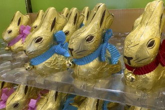 Chocolate bunnies Chocolate Easter bunnies in cardboard sweets in retail, international