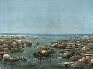 Woody Island, small island about 25 kilometers northeast of Port Douglas on the Coral Sea coast in