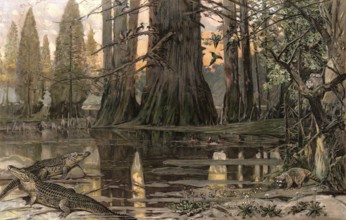 Landscape with crocodiles on the Mississippi River, America, authentic reproduction of a school