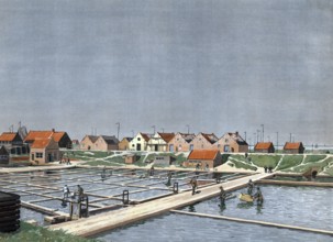 Oyster farm, oyster farm in Yerseke, province of Zeeland, Holland, Netherlands, authentic