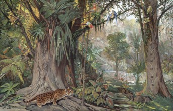 Jungle, landscape in the upper Amazon region, Brazil, authentic reproduction of a school mural,