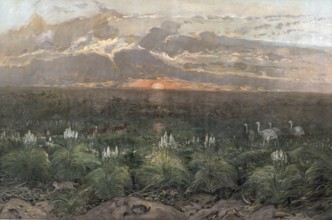 Landscape in the Pampas, flat, woody grassland in southeastern South America, Argentina, authentic