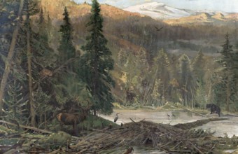 Coniferous forest in North America, Oregon, America, authentic reproduction of a school mural,