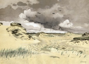 Sand dunes in Veluwe on a mountain range in the province of Gelderland directly southeast of the