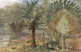 Prehistoric jungle in Madagascar, Africa, authentic reproduction of a school mural, historical,