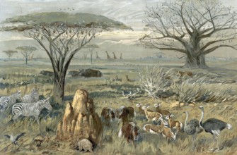 Serengeti, steppe landscape with animals in South Africa, authentic reproduction of a school mural,