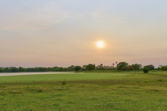 Tranquil landscape at sunrise with a lake, green trees and a clear sky, Fazenda Barranco Alto,