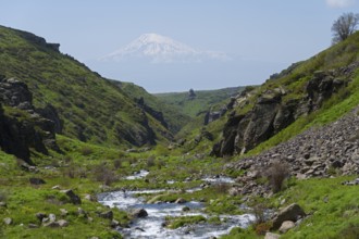 A river runs through a rocky landscape with a snow-covered mountain in the distance, Our Lady