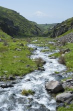 Clear stream flows through a green, rocky landscape with mountains in the background, Our Lady