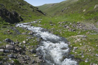 A river with rapids flows through a green landscape with large stones, Amberd Gorge, Aragazotn