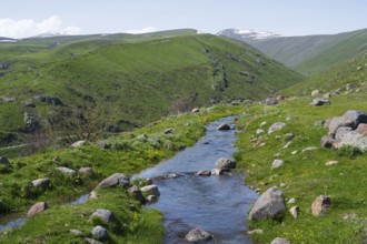 A clear stream flows through a green hilly landscape with scattered stones, Amberd Gorge, Aragazotn