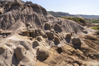 Sunlight illuminates the hoodoo badlands in drumheller, canada, showcasing unique rock formations