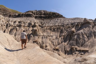 Tourist walking in horseshoe canyon near drumheller, alberta, under the summer sun, exploring the
