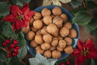 Blue plate with walnuts decorated with Christmas decoration