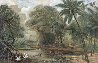 Landscape in the delta of the Ganges, India, authentic reproduction of a school mural, historical,