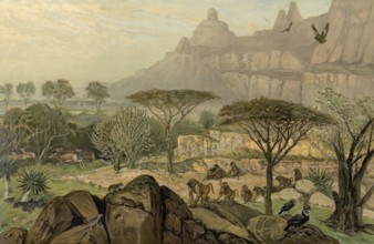 In the highlands of Abyssinia, today Simien National Park, also Semien National Park, Ethiopia,