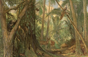 Landscape in the jungle of Ceylon, Sri Lanka, authentic reproduction of a school mural, historical,