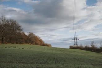 Meadow with a power pole on the horizon under a wide sky with large cloud formations, Ternitz,