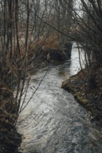A small stream flows between bare trees, a quiet nature scene in winter, Ternitz, Lower Austria,