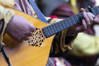 Mandolin player, musician, medieval clothing, medieval market, city of Esslingen, district of