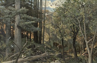 Forest in the Allegheny Mountains, Appalachian region, stretches south-southwest more than 800 km