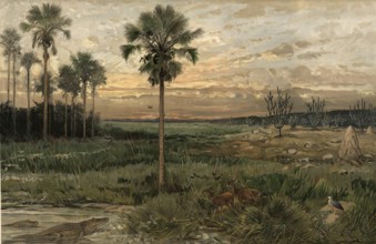 Llanos, wide plains in northern South America, which are mainly characterized by humid savannas,