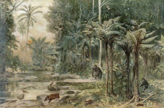 Rainforest on the equator in West Africa, authentic reproduction of a school mural, historical,