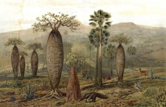 Mountain landscape in Brazil, authentic reproduction of a school mural, historical, around 1900