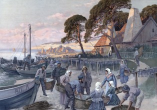 Fishing village on the Baltic Sea, fishermen bringing their catch ashore, Germany, authentic