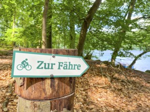 Sign points to the ferry for pedestrians and cyclists at Lake Schmaler Luzin, Hullerbusch Nature