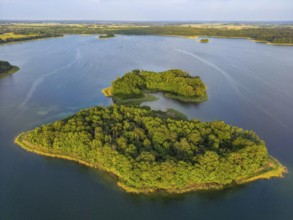 Aerial view, drone photo: Steinwerder and Bollenwerder islands, Carwitzer See, Carwitz, Feldberger