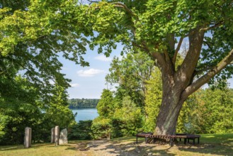 Cemetery in the village of Carwitz, behind the lake Schmaler Luzin, Feldberger Seenlandschaft,