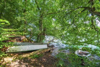 Two rowing boats under trees on the shores of Lake Schmaler Luzin, Feldberger Seenlandschaft,
