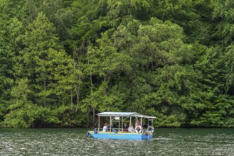 Electric ferry crosses Lake Schmaler Luzin, Hullerbusch Nature Reserve, Carwitz, Feldberger