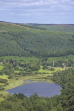 View of Lower Lake and Round Tower, Wicklow Mountains National Park, Glendalough, Brockagh, County