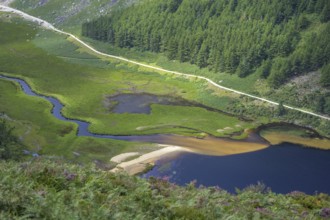 Estuary of mountain stream into Upper Lake, Wicklow Mountains National Park, Glendalough, Brockagh,