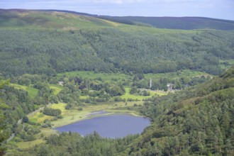 View of Lower Lake and Round Tower, Wicklow Mountains National Park, Glendalough, Brockagh, County