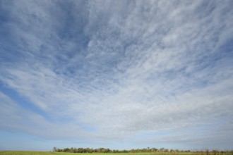 Cloudy sky with landscape, DarÃŸ, Mecklenburg-Western Pomerania, Germany