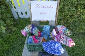 Sales stand with knitted socks on a path on the Bodden, Ahrenshoop, DarÃŸ, Mecklenburg-Western