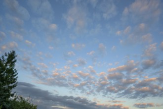 Large fleecy clouds (Altocumulus), Mecklenburg-Vorpommern, Germany