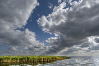 Rain clouds (Nimbostratus) over the Bodden, Ahrenshoop, DarÃŸ, Mecklenburg-Vorpommern, Germany