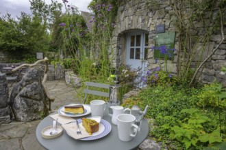 Coffee break in the Burren Perfumery Tea Room, Fahee North, Carran, County Clare, Ireland