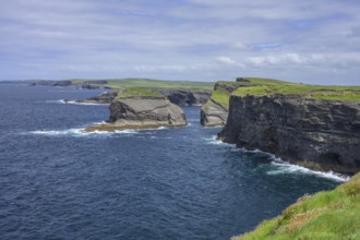 Cliffs of, Kilkee, County Clare, Ireland
